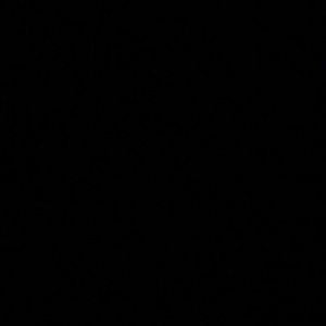 Meet your Posher, Libby